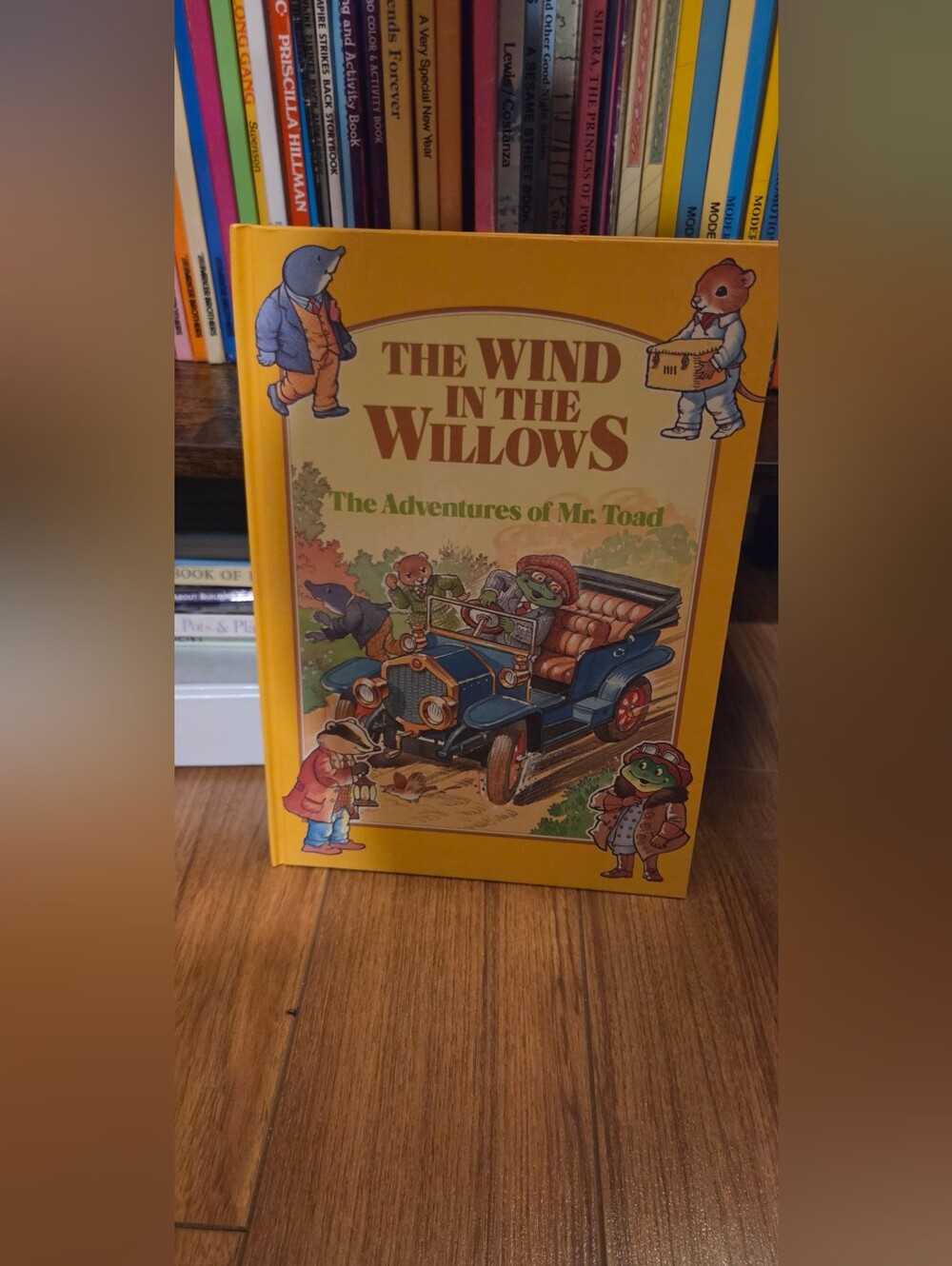 The Wind in the Willows Vintage Book